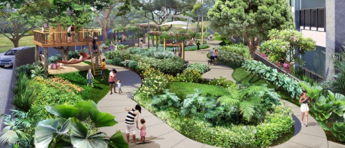 Ary-Garden-aerium.jpg