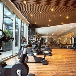 Gym-The-Elements-246x246.jpg