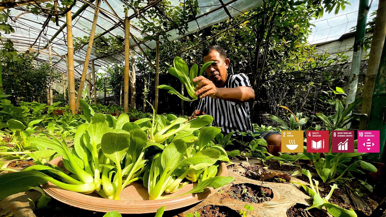 Sustainable Community