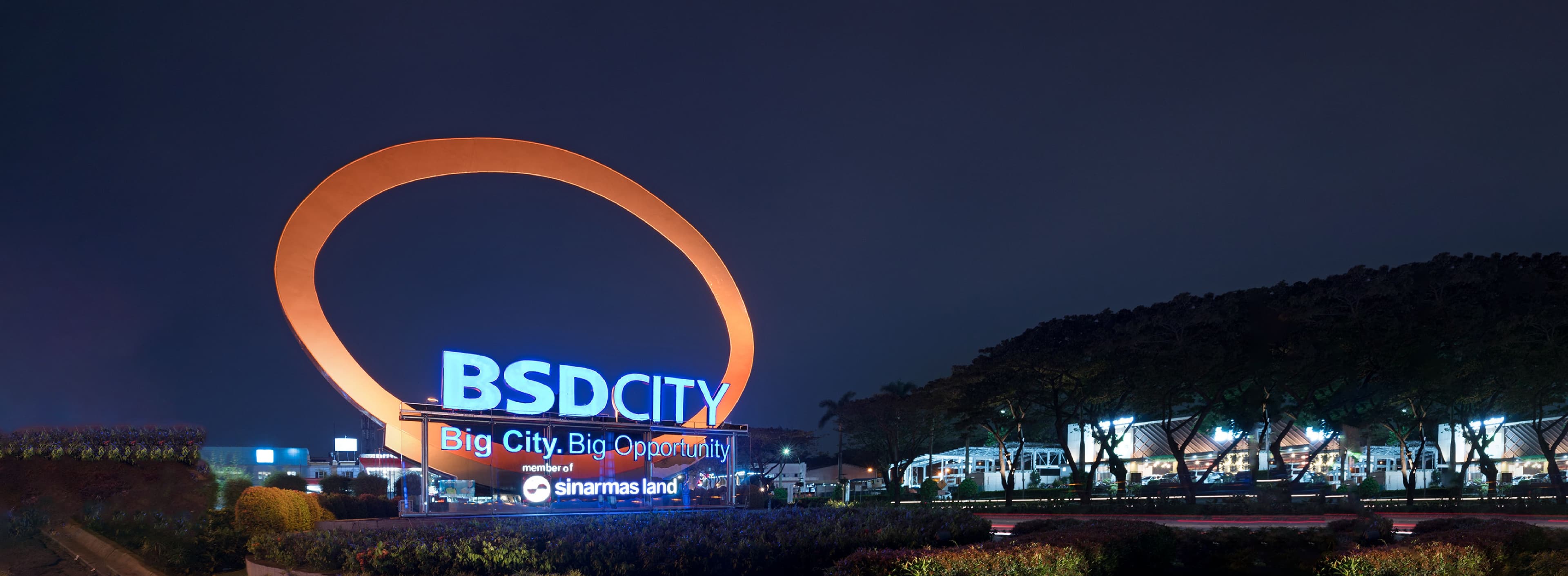 bsd-web-banner.jpg